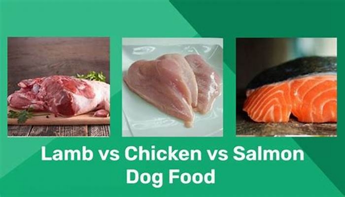 Is lamb or salmon better for dogs