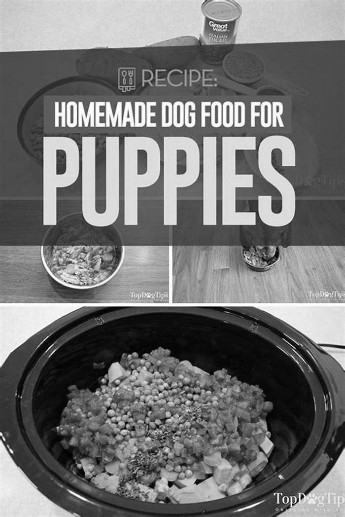 is homemade dog food good for puppies