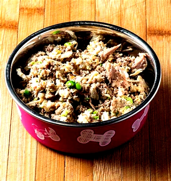 is homemade dog food healthier