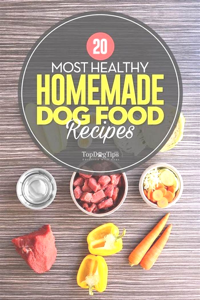 is homemade food good for dogs