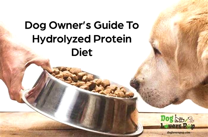 is hydrolyzed protein better for dogs