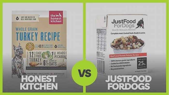 just food for dogs vs honest kitchen