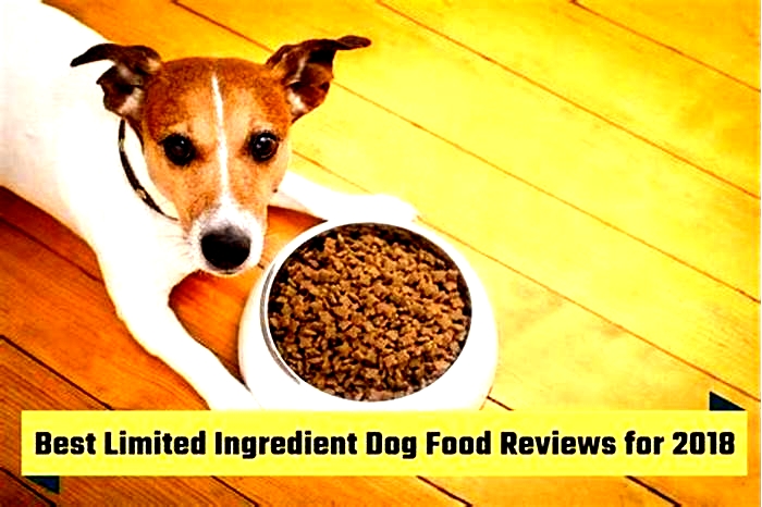 limited ingredient dog food best