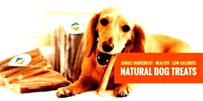 low calorie natural dog treats