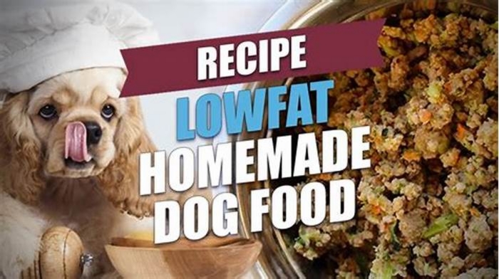 low fat dog diet homemade