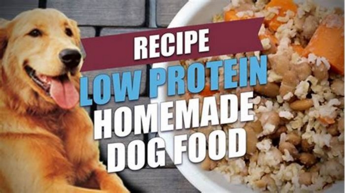 low protein diet for dogs homemade