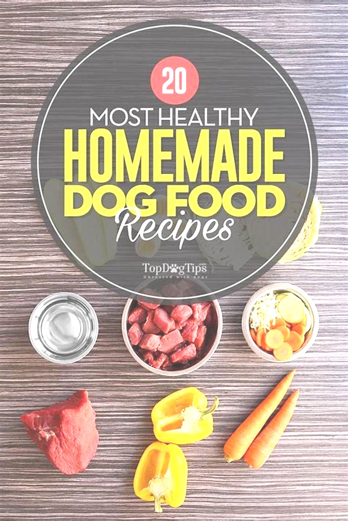 most healthy homemade dog food