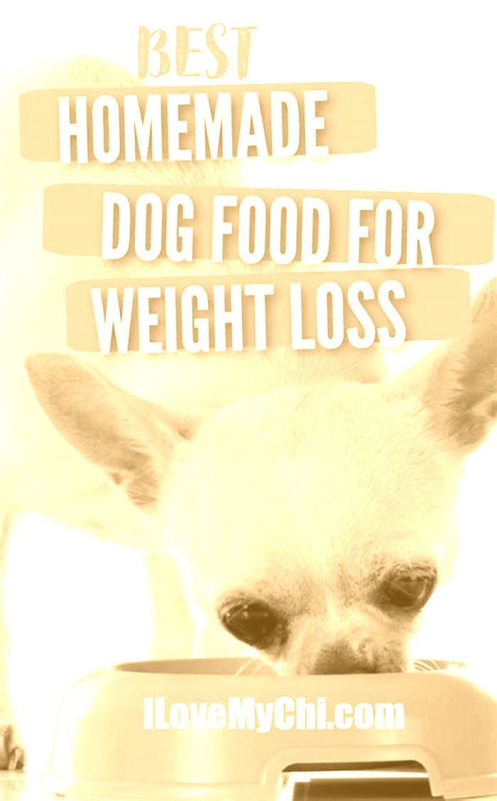 my dog is losing weight on homemade diet