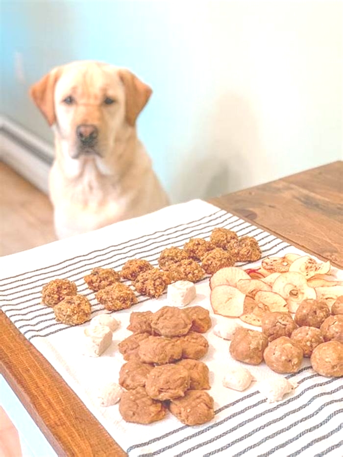 natural and healthy dog treats