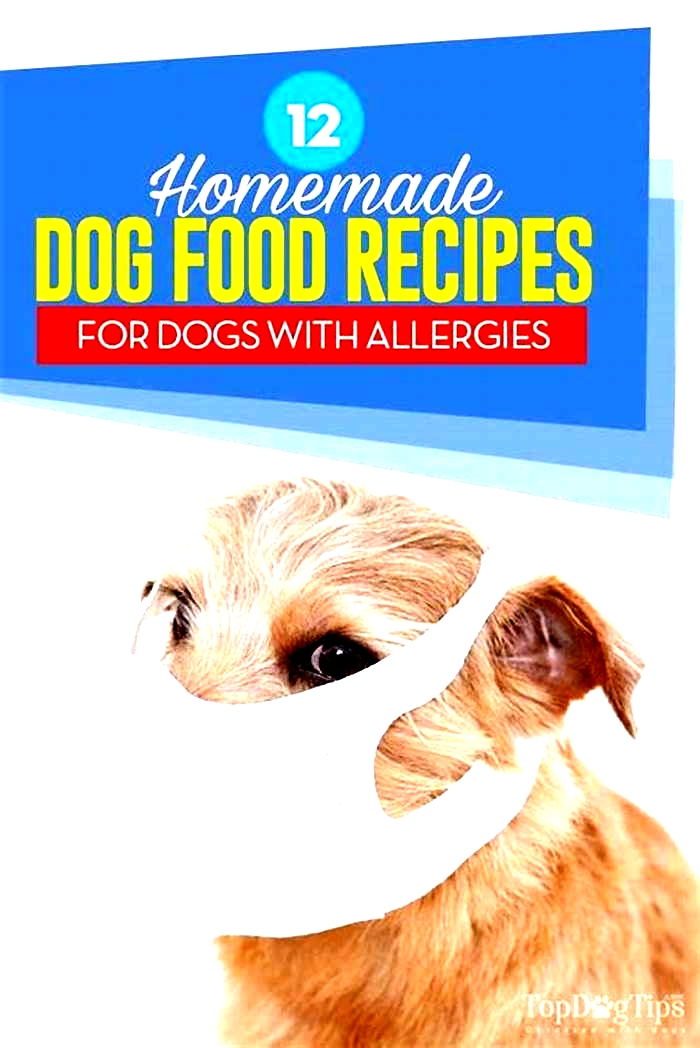 natural dog food recipes for allergies