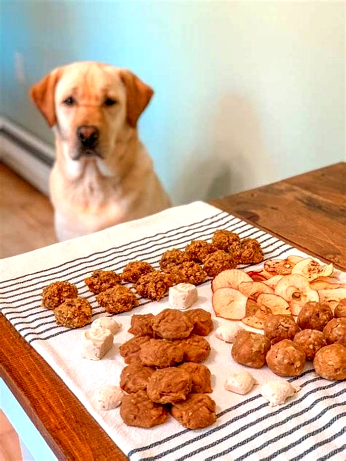 natural healthy treats for dogs