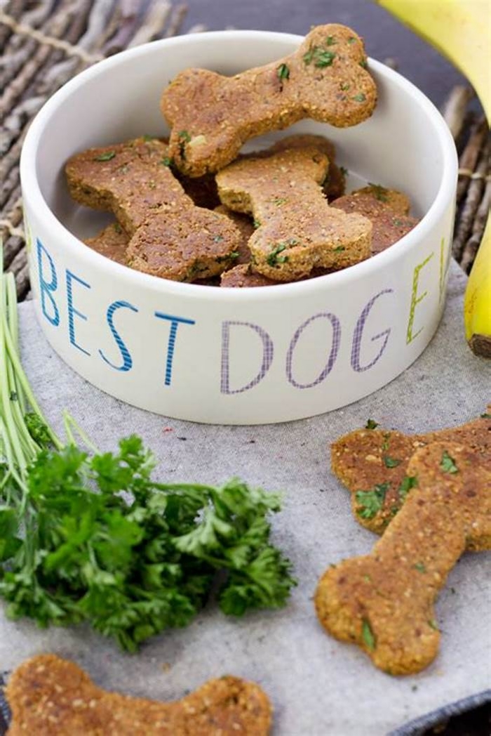 organic homemade dog food recipes