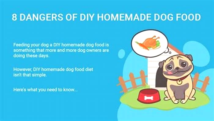 problems with homemade dog food