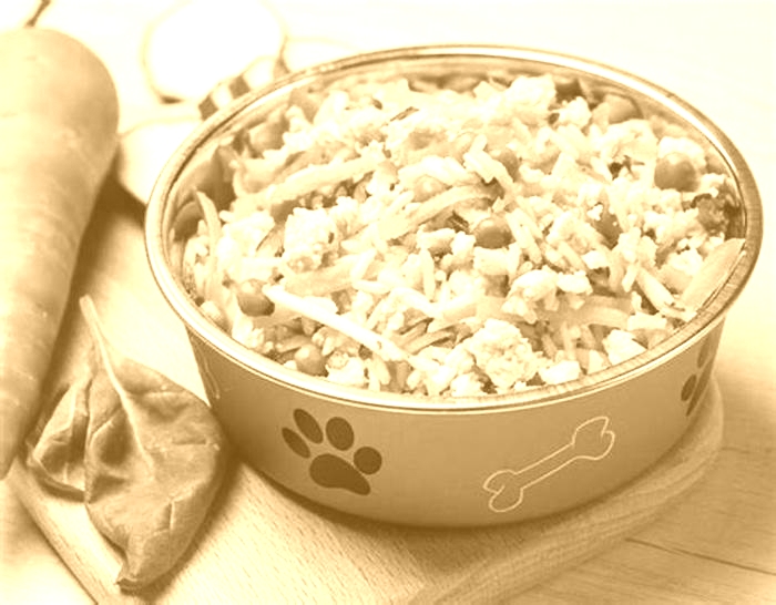 quick and easy homemade dog food