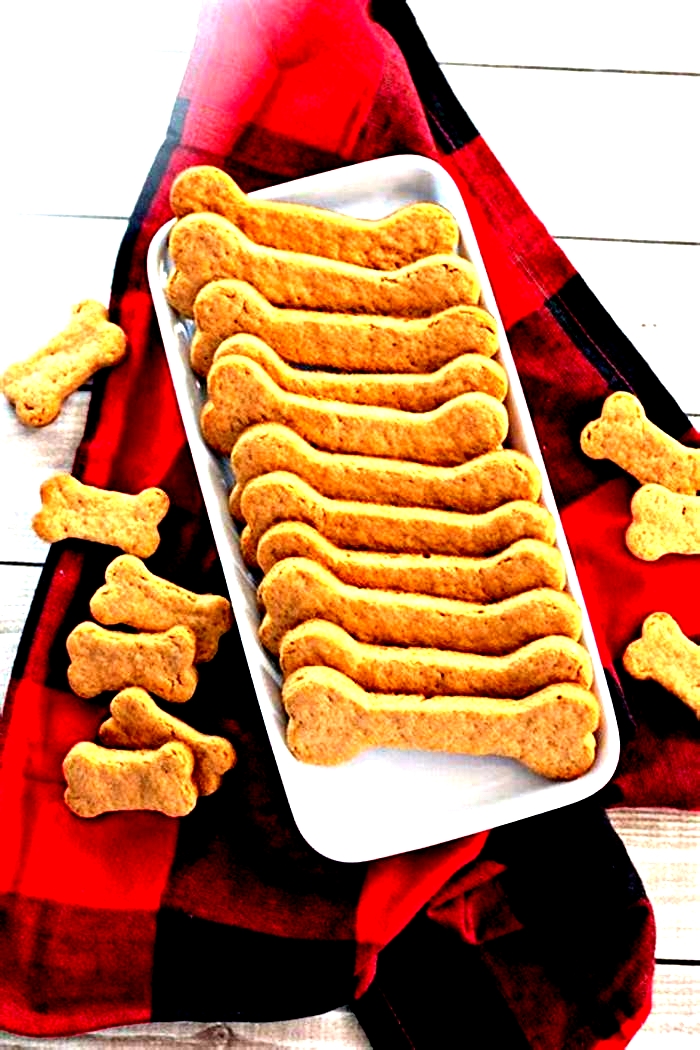 quick homemade dog treats