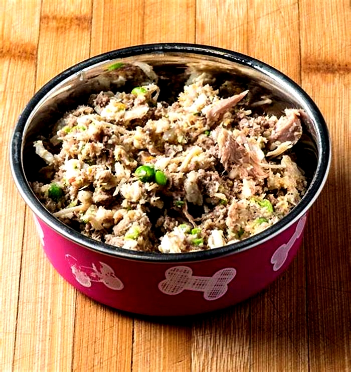 recipe for healthy homemade dog food