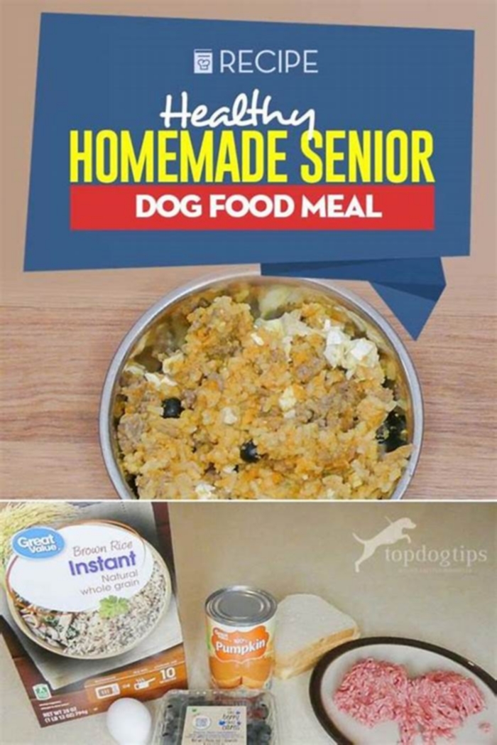 senior dog diet homemade chicken