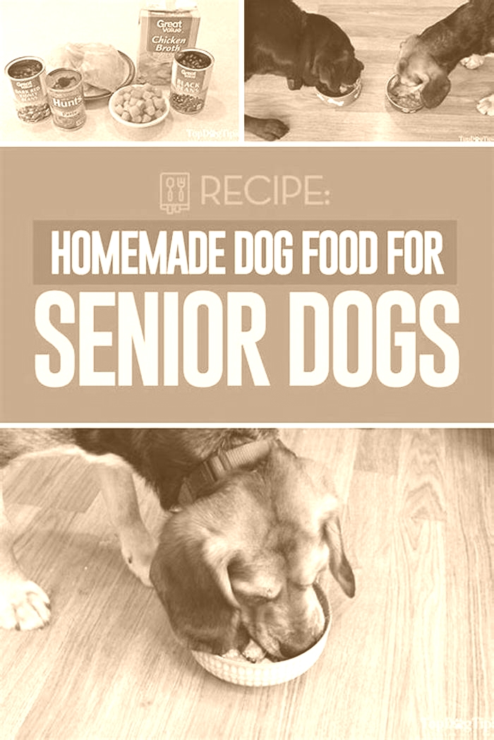 senior dog homemade food