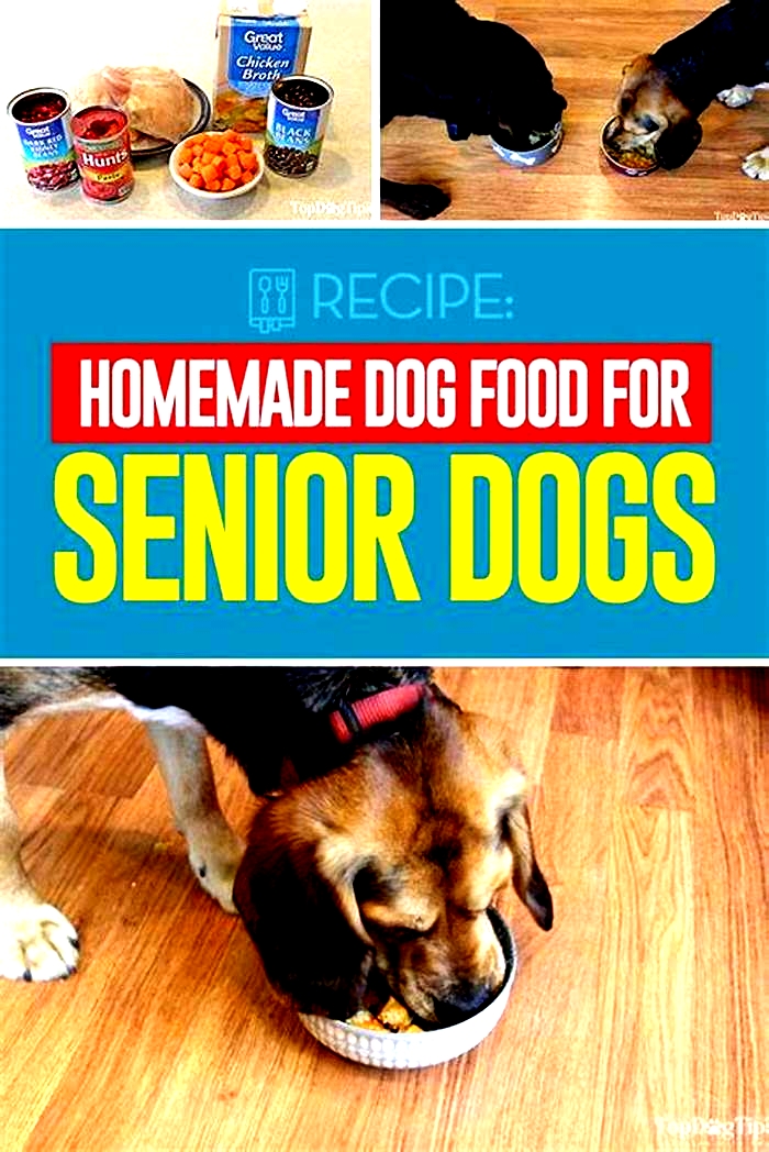 senior dog homemade recipe