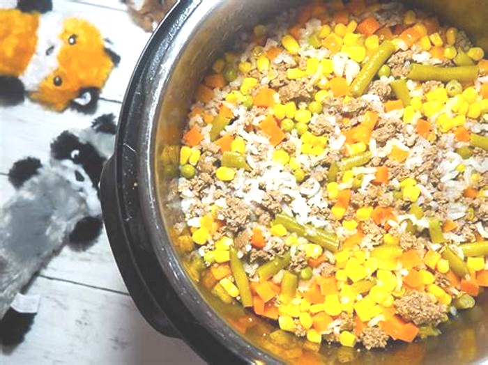 simple healthy homemade dog food