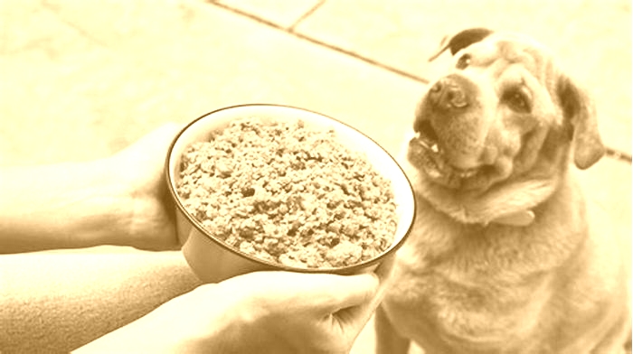simple homemade dog food with chicken