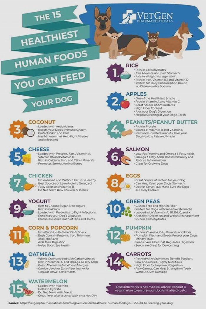 top 10 human foods for dogs