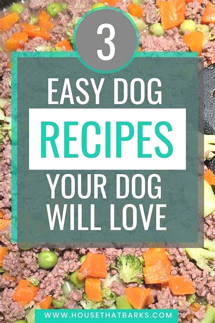 vet approved homemade dog recipes