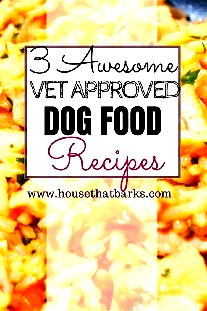 vet recommended homemade dog food recipes