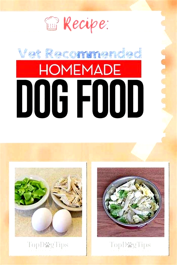 veterinarian recommended homemade dog food recipes