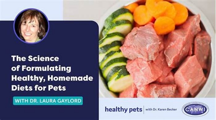 veterinary homemade diets