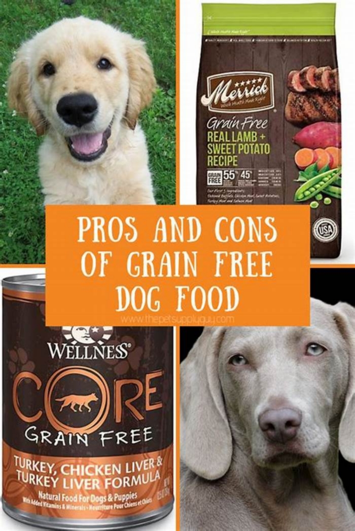 What are the disadvantages of grain free dog food