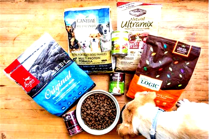 What is the absolute best food to feed your dog?