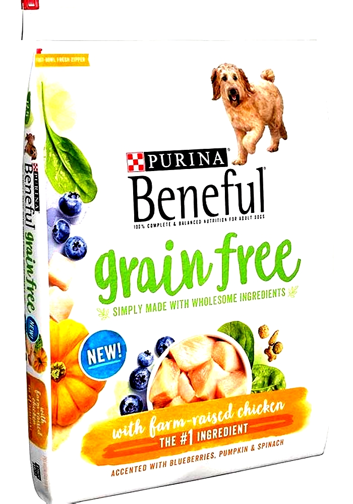 What is the best grain free limited ingredient dog food