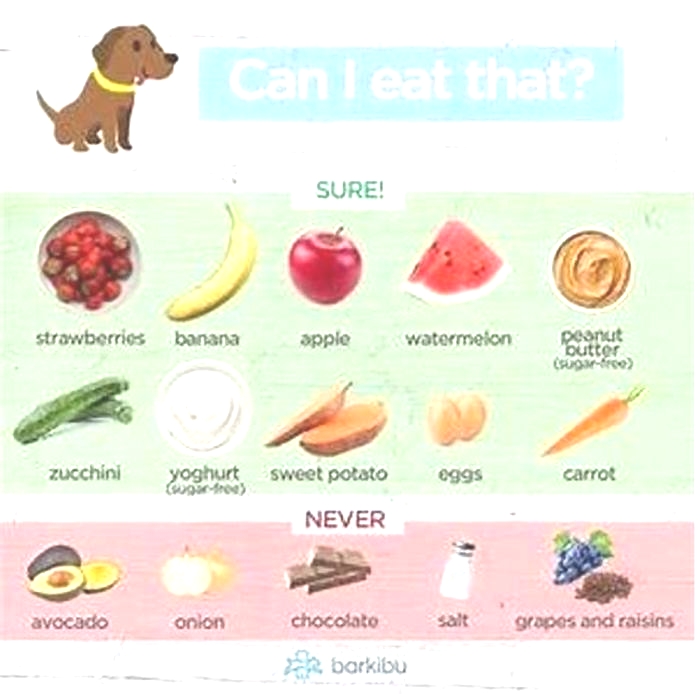 what do dogs love to eat