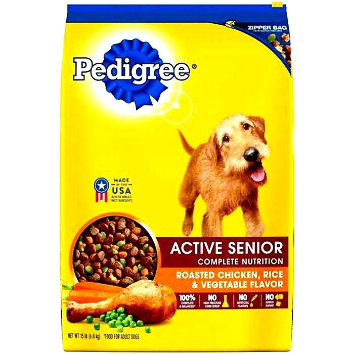 what food can i make for my senior dog