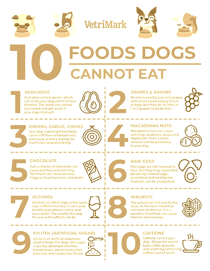 what foods can dogs not eat