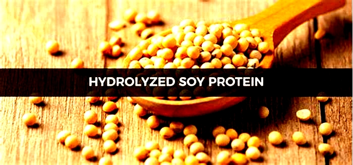 what is hydrolyzed protein