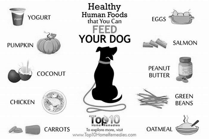 what is the best human food for a dog