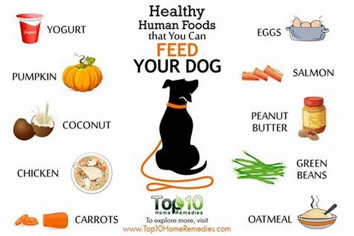 what is the best human food for dogs