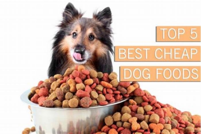 what is the cheapest healthy dog food