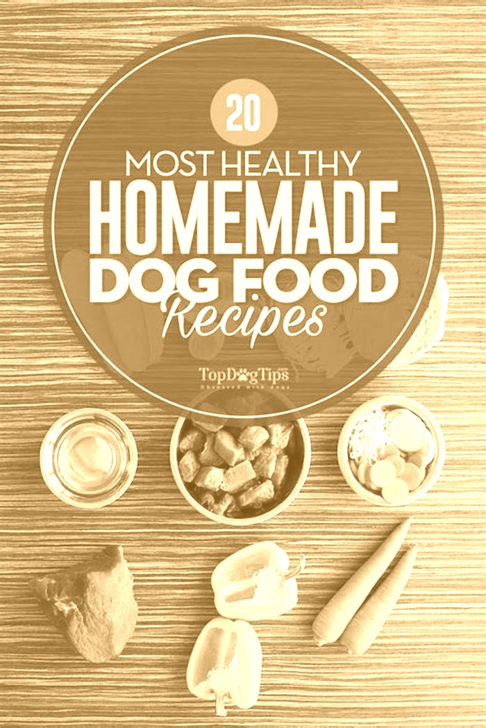 what is the healthiest homemade dog food