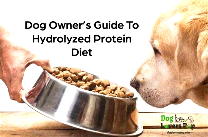 why do dogs need hydrolyzed protein